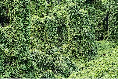 《极限竞速8》总监：在光追上 我们不会欺骗玩家