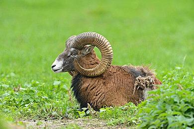 未来游戏展：《记忆边境》确定8月10日发售